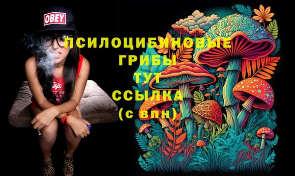 каннабис Абинск